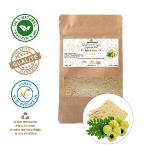 500g Amla poudre ayurvédique Soin capillaire, pousse des cheveux, soin peau...