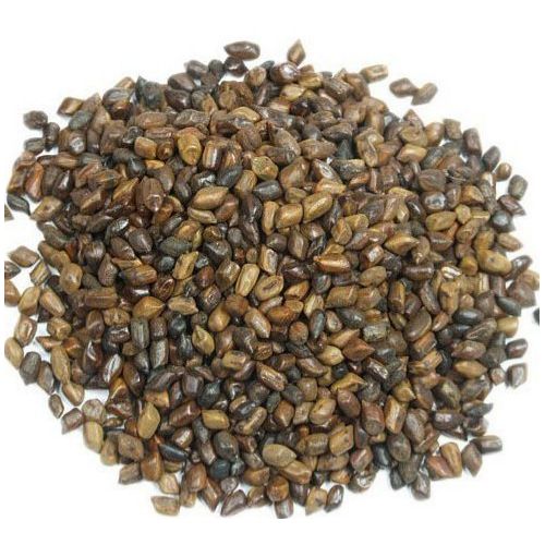 Cassia Tora Graine 200G ( Protection yeux contre Ecrans ) – Image 2