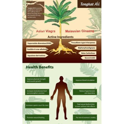 Tongkát Ali Racine 200G – Image 3