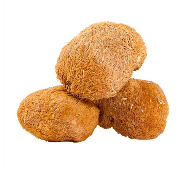 Champignon crinière de lion 100G